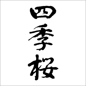 四季桜